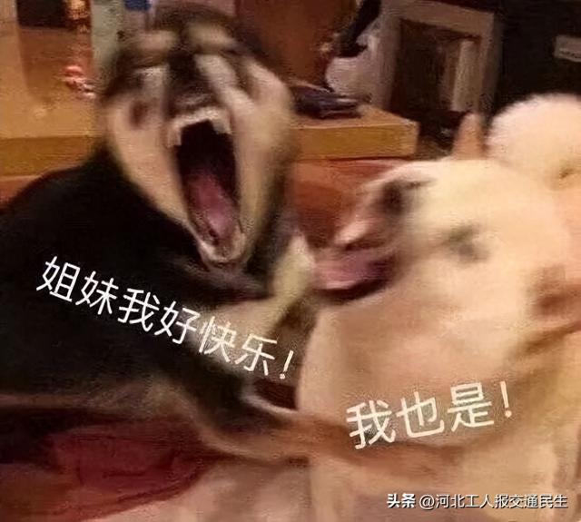 石家庄免费乘高铁攻略来啦！保姆级教学！还能给别人用！
