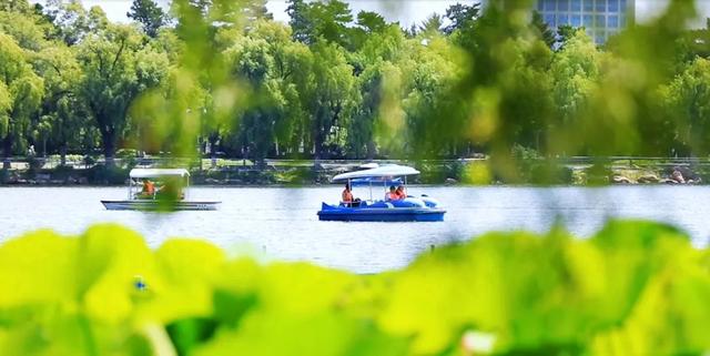 夏日南湖 盛满悠然时光