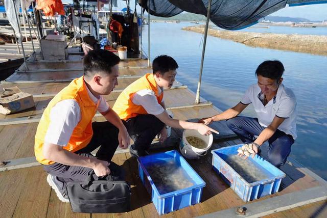 惠州优化（精准放贷优化服务惠州银行业全方位助力百千万工程）