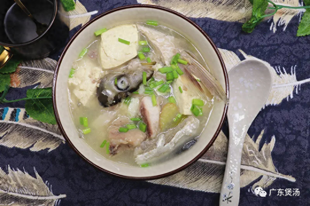 猴头菇花胶灵芝汤 2026年猴头菇花胶煲汤