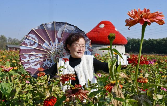 山东茌平杜郎口镇：深秋田园美景醉游人