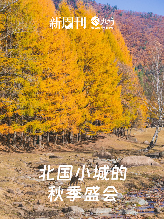 在这座东北小城，被顶级秋景暴击