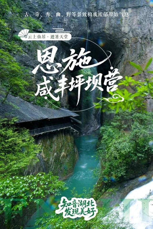 咸丰坪坝营上榜！湖北十大热门避暑地出炉