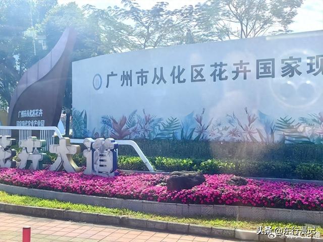 游中有学，知行合一：研学旅行如何重新定义“在路上”的意义？