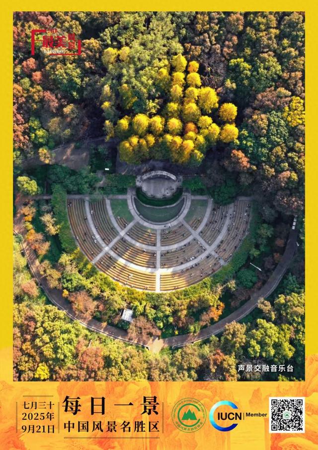 每日一景 | 声景交融音乐台