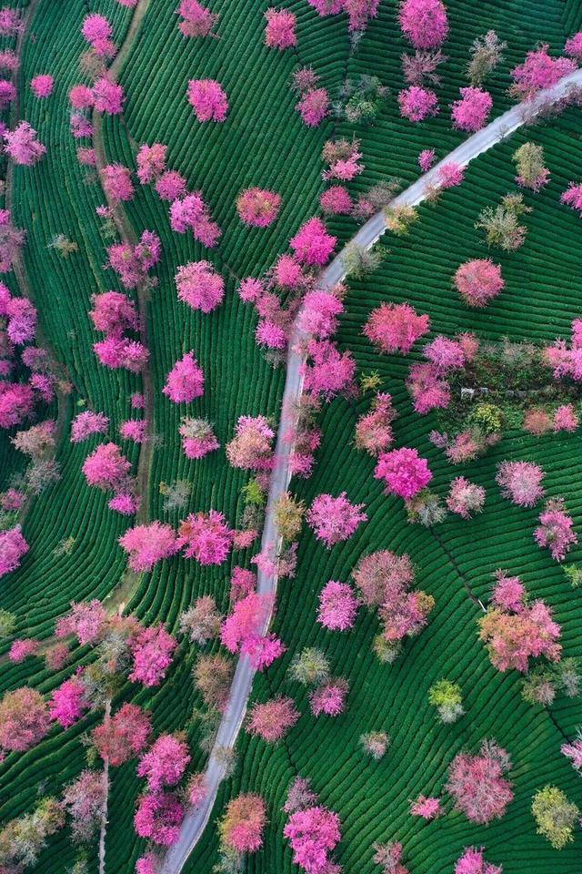 今起，大理这个景区恢复开放→