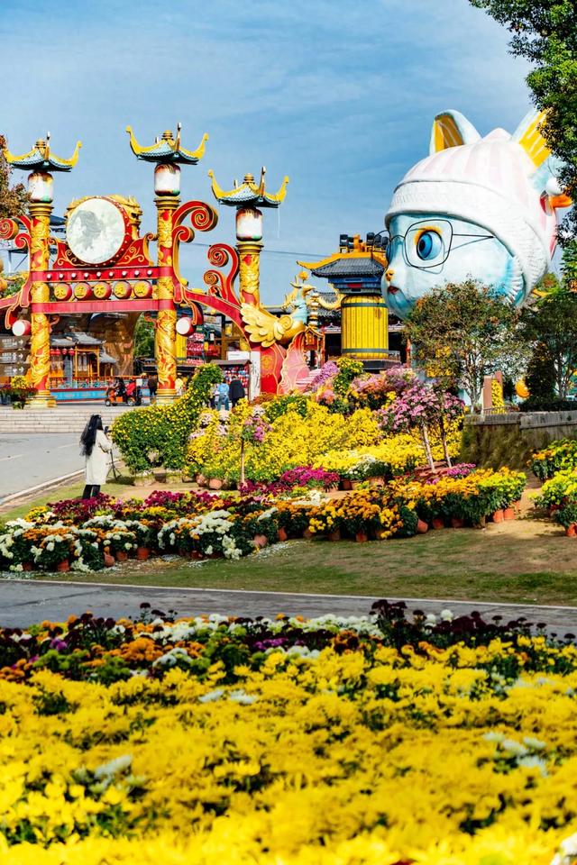 登登登登!今天,黄陂约你“顶峰”见