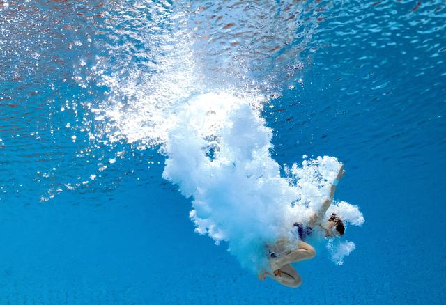 （全运会）跳水——女子个人全能决赛：王伟莹夺冠