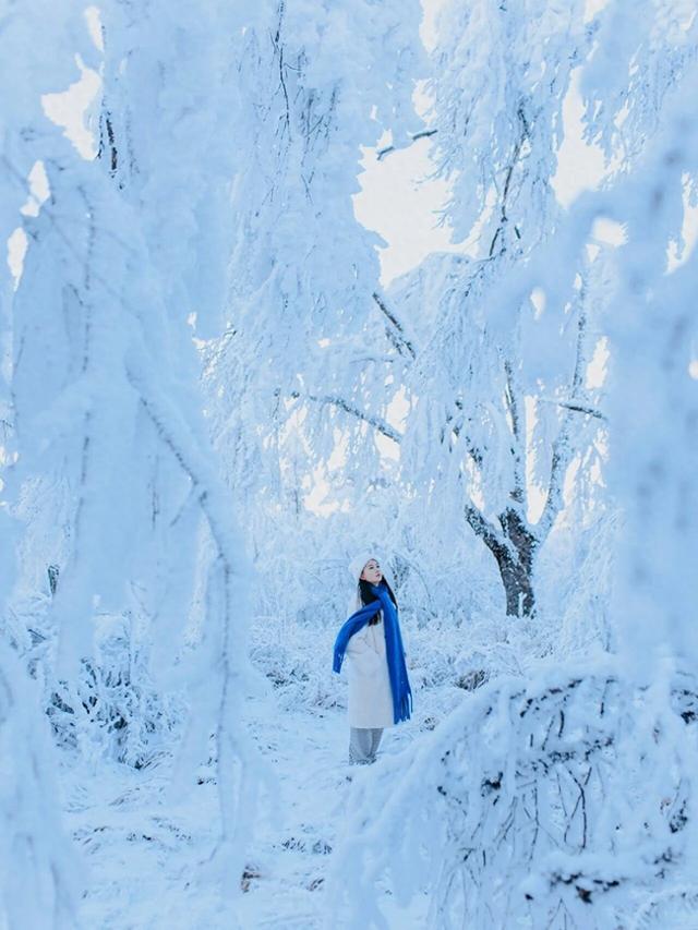 下雪了？！川西隐藏冰雪秘境上线！！！快来看雪→