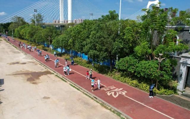 与秋景同行！港南迎来8000人健步走