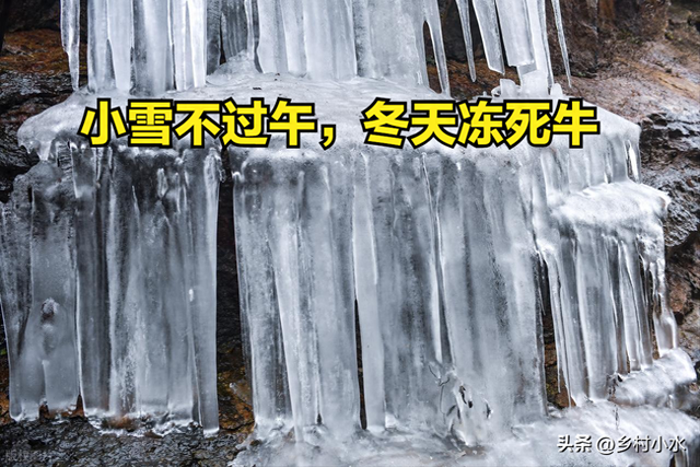 明日小雪	，“小雪不过午，冬天冻死牛”，冬天冷不冷就看小雪！