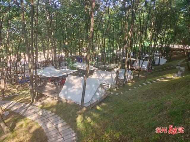 花舞南山文旅小镇：打造避暑胜地 提升旅游体验
