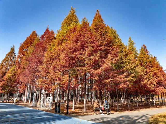 这座公园全面开放草坪，可以去露营了