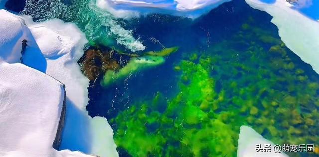 水的品性最为高洁，默默滋养万物	，今宵好梦相伴