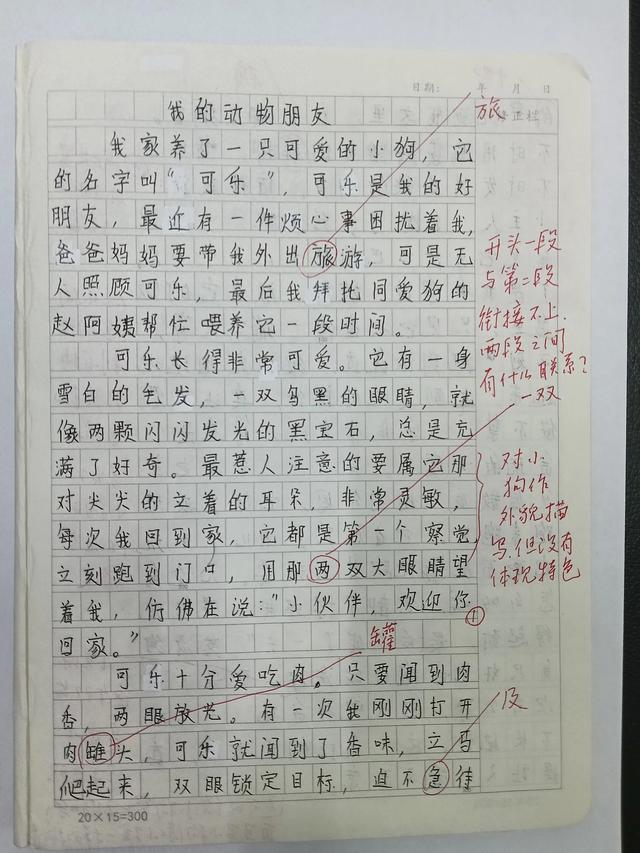 关于小狗的作文（作文点评之小狗写法）
