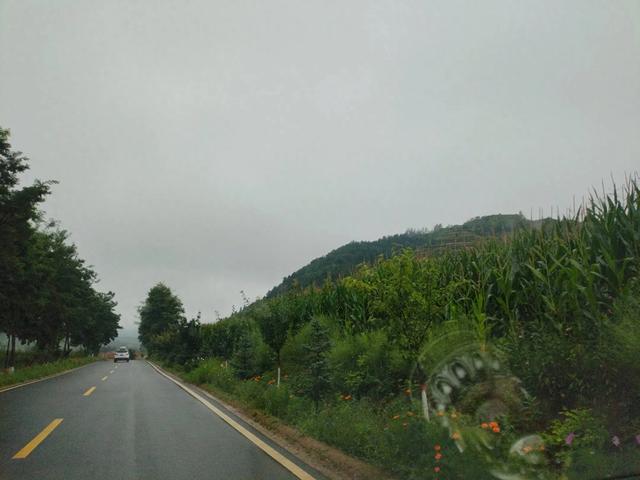 甘肃庄浪陈堡村