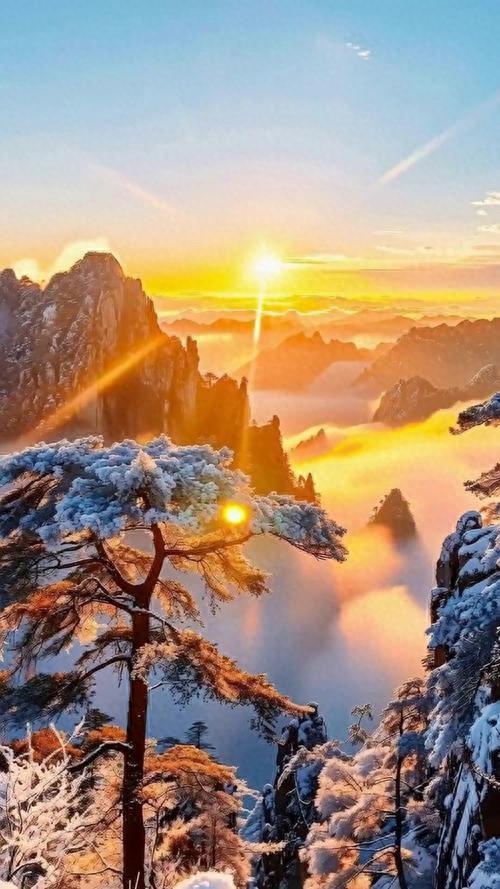 国内多家景区，扎堆宣布免门票，究竟是怎么了？