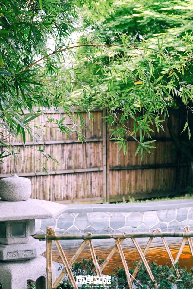 秋日升温计划丨泡在南岸，把深秋泡暖！