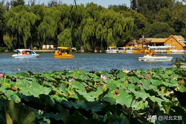 廊坊城乡景点 休闲好去处