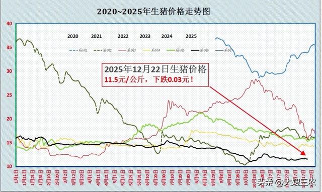 【明日猪价】12月22日猪价继续探底，连续三天下跌，但跌势放缓！