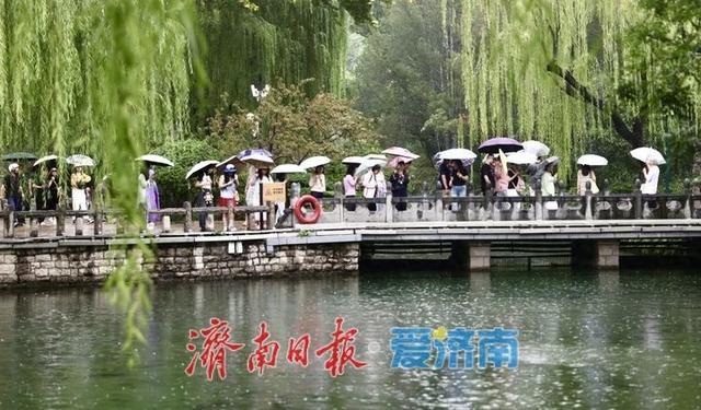 雨中赏泉，济南趵突泉似江南画卷