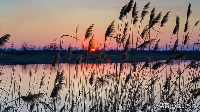 苇海接天，碧水连宵：郁洋淀原始湿地行记