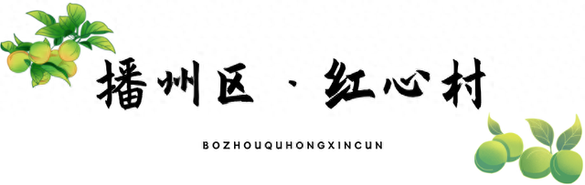 乡游黔中 · 播州区 红心村丨仡佬风情醉星河，拦门酒香漫云巅