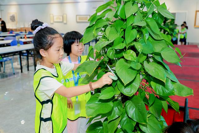 体验科学秀，佛山青少年“碳”索环境保卫战