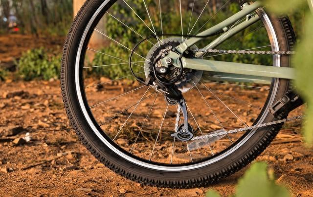 2025年10月31日 第53页