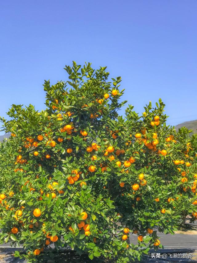 我是上海人	，去了趟四川泸州，心里有好些感受想慢慢讲一讲。