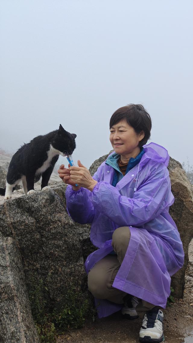 四十七年后著名主持人敬一丹再登泰山 “人生需要仪式感”