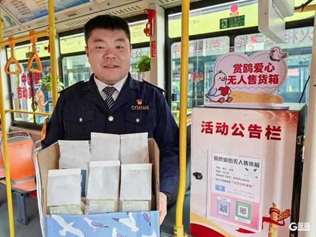 青岛6路开出“赏鸥专线”，来一场与海鸥的浪漫之约