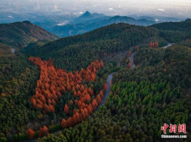 人这一辈子，一定要去爬一趟金华山！