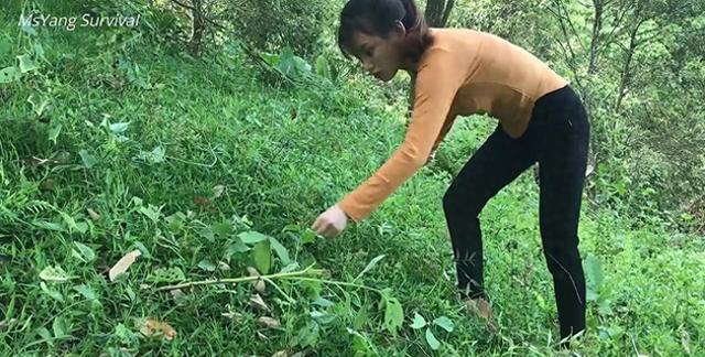 逃离木质的房屋攻略（野外求生如何用绳子固定树干＃野外露营＃荒野求生）