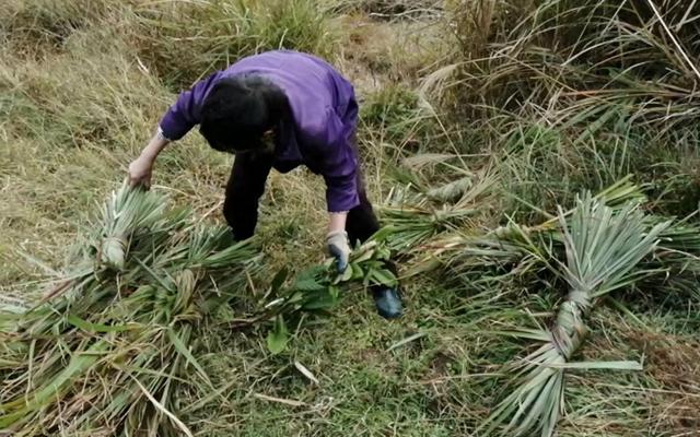 贵州女子遇害，凶手被判死缓家属不满，人情与法理该如何抉择？