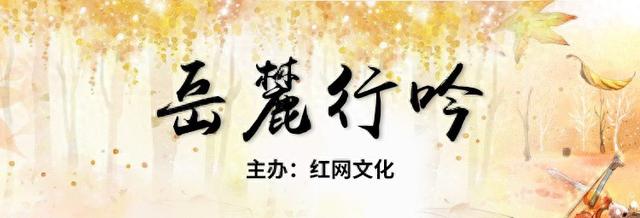 散文丨蒋集政：月亮之城