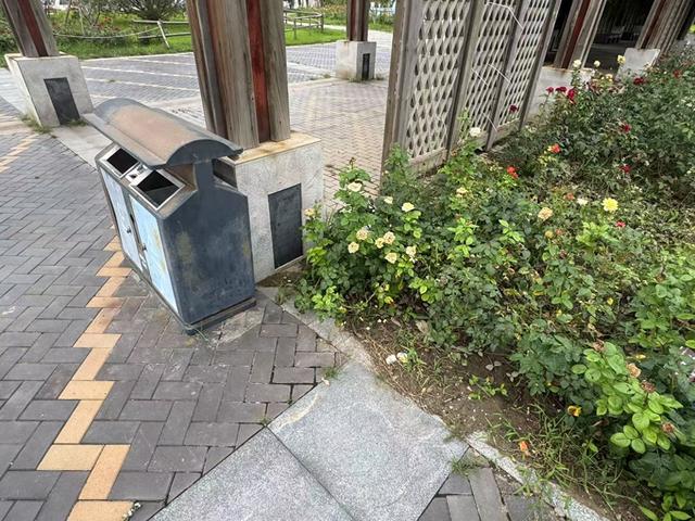 垃圾桶就在旁边，游客仍随手扔，园博园这些地方有点脏