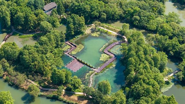 16块科普牌解锁生态密码 西溪湿地水下长廊焕新迎客