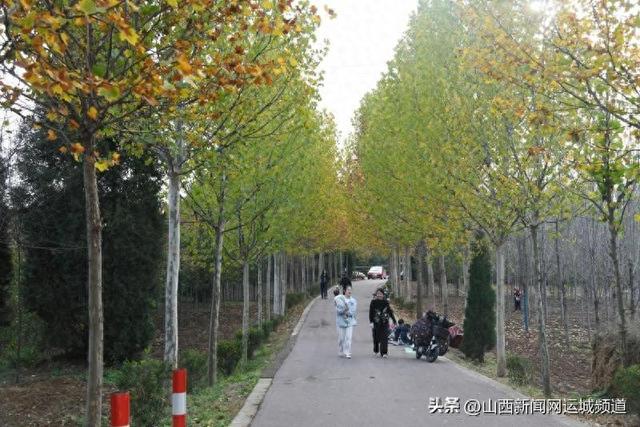 闻喜县：初冬的森林公园休闲打卡好去处