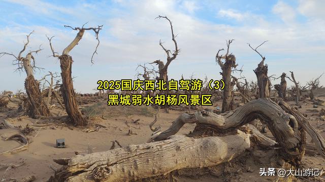 2025国庆西北自驾游（3）：黑城弱水胡杨风景区