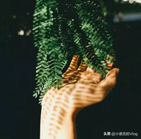 梦见抬棺材送葬队伍（梦到去世的亲人朋友）