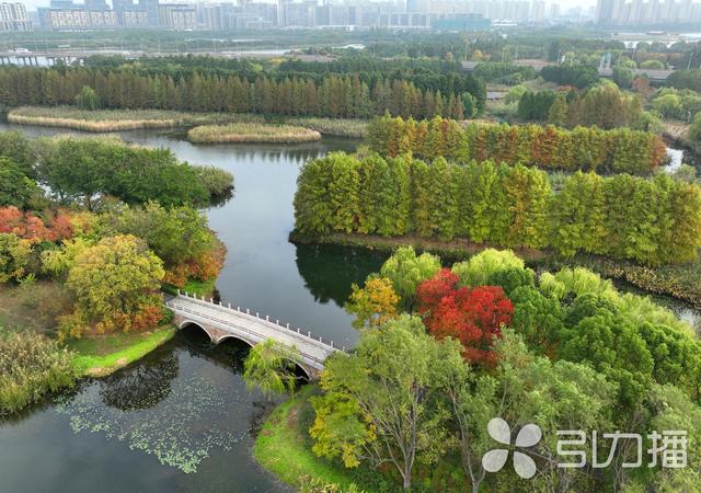 苏州又上大分！国际顶流身份认证