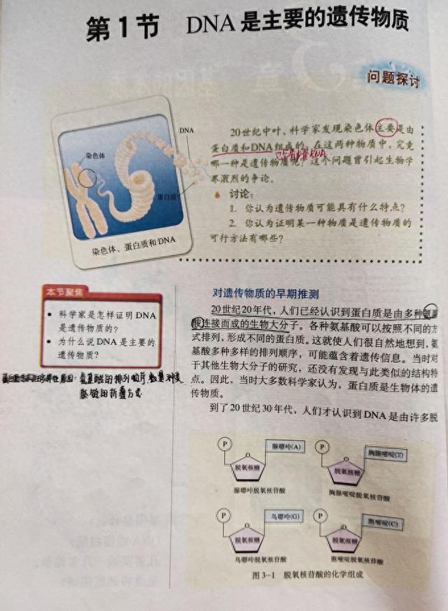 噬菌体侵染细菌实验介绍（生物必修二 第三章第一节 DNA是主要的遗传物质）