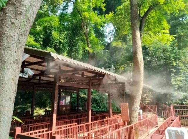 高温之下乐山景区有“凉”策：“硬核科技+温柔守护”宠游客