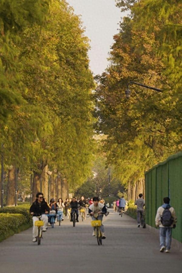 活力满满的东湖绿道