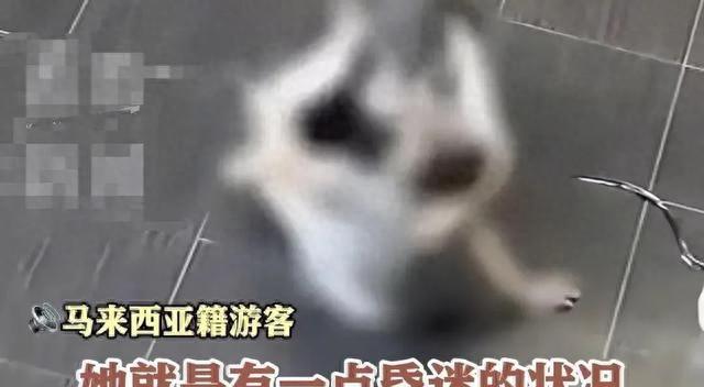 光天化日的耻辱！女游客在车站大厅遭性侵10分钟，全程竟无人制止