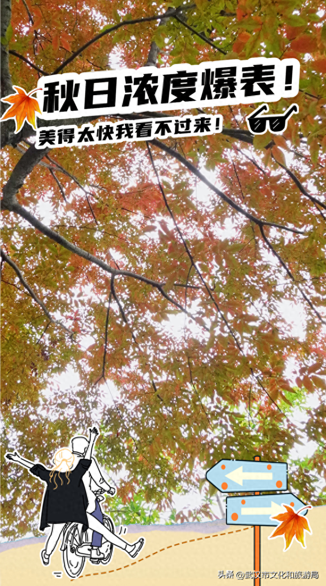 啊“秋”，彩林已上线，快收下这份斑斓！