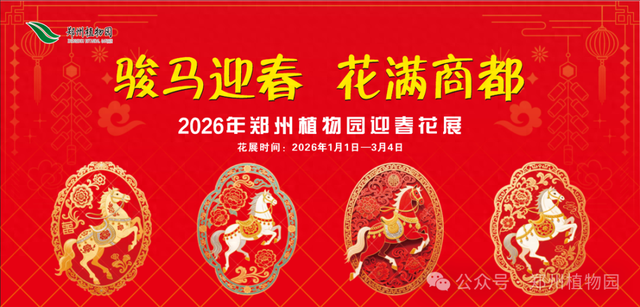 迎春花展元旦开展！郑州植物园邀您沉浸式打卡新年限定花海