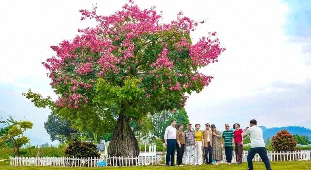此心安处 阳光满城｜赴—场从金沙江畔到西子湖边的“心安”之约