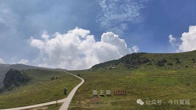 翼城县历山舜王坪：千亩花海迎客来 生态画卷徐徐展